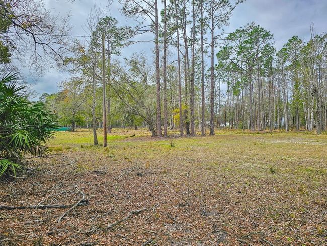 1718 Papaya St, Home with 0 bedrooms, 0 bathrooms and null parking in BUNNELL FL | Image 5