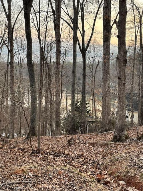 Lot 4 Charmwood Cir, Moneta, VA, 24121 | Card Image