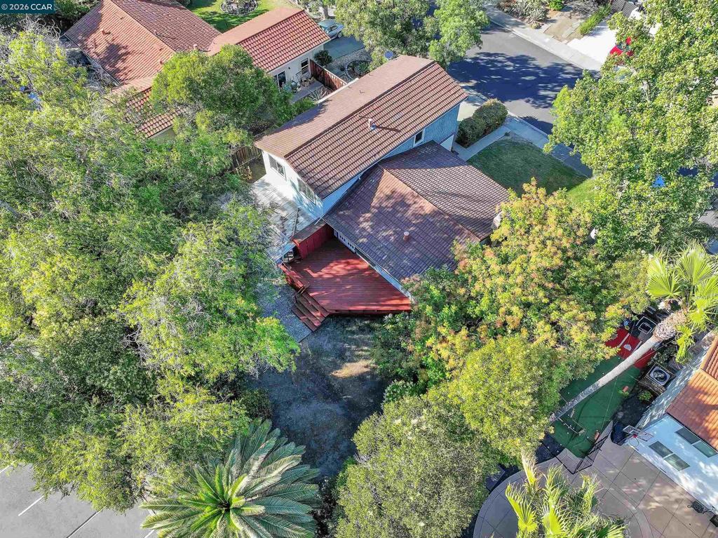Residential in Walnut Creek 4