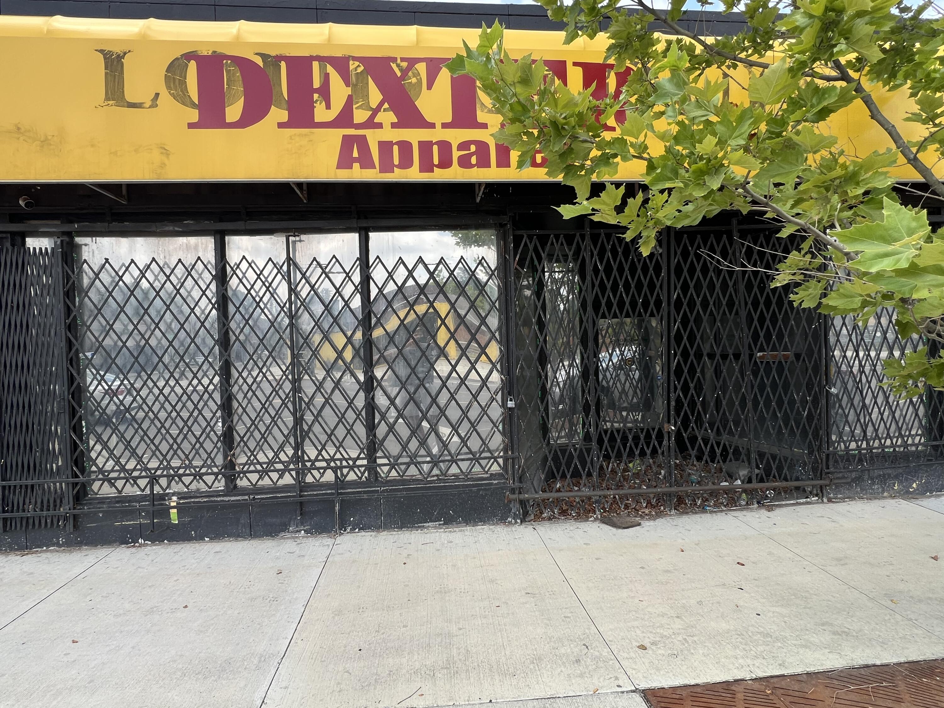 Business Opportunity in Detroit 2