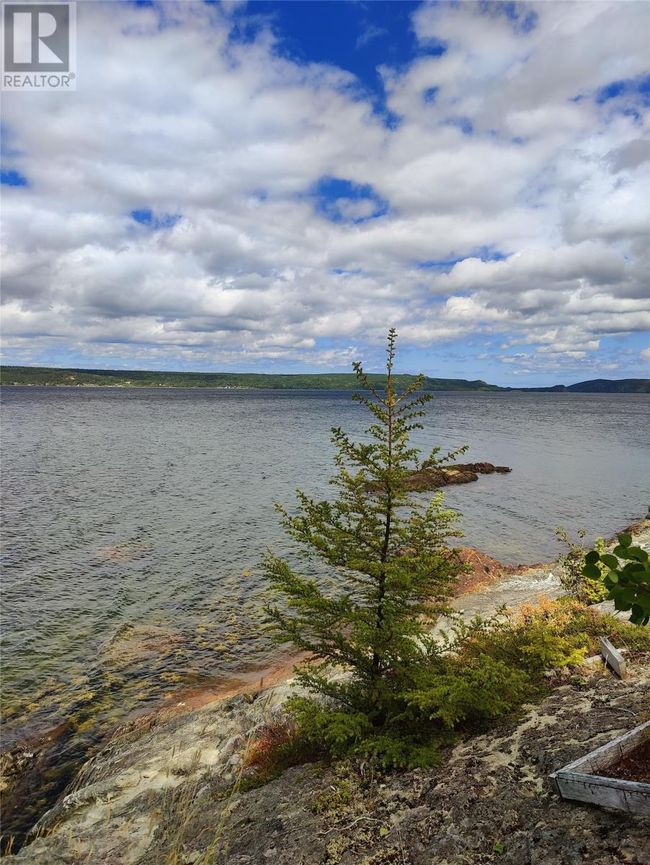 69 Main St N, House other with 2 bedrooms, 2 bathrooms and null parking in Glovertown NL | Image 4