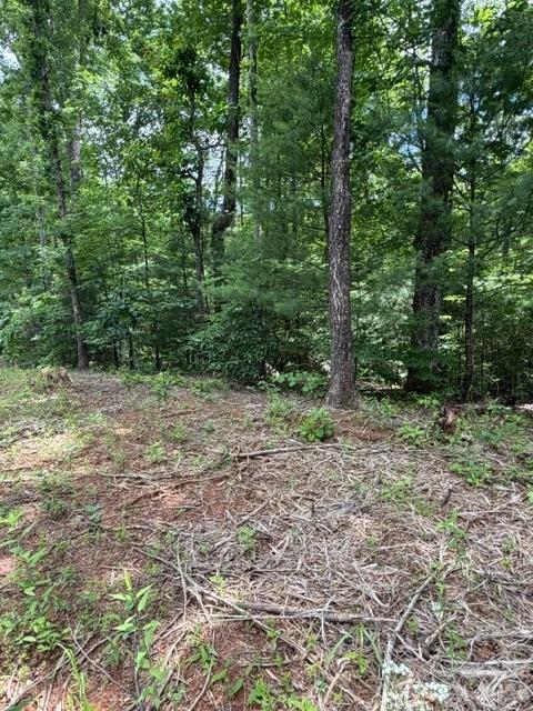 Land in Lake Lure 5