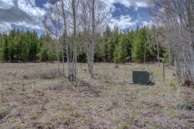View of landscape featuring a view of trees | Image 13