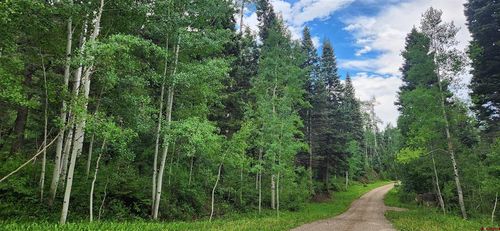 454 Mccoy Creek Dr, Durango, CO, 81301 | Card Image