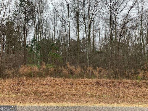 0 County Road 502, Graham, AL, 36263 | Card Image