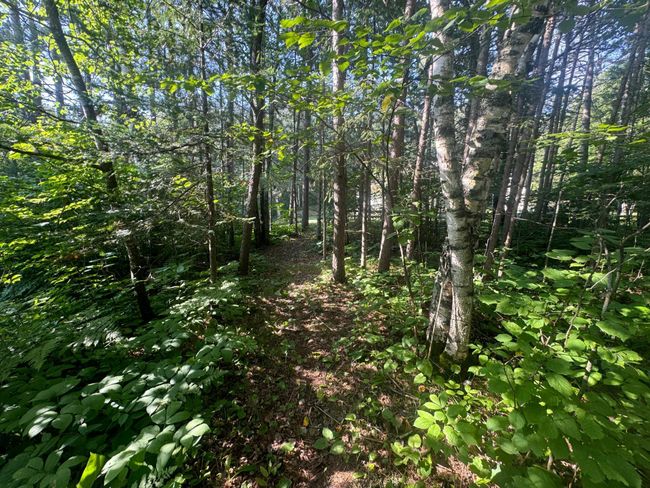 More Trails! | Image 37