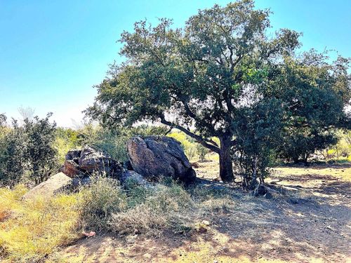 209 River Park Dr, Llano, TX, 78643-2583 | Card Image