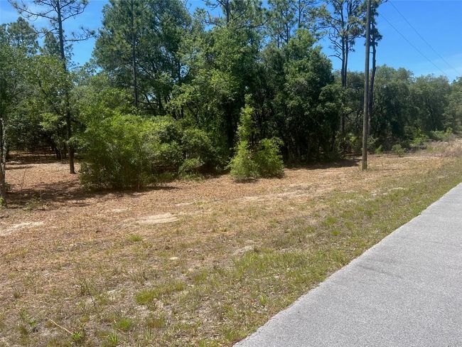 00 Sw Wood Road, Home with 0 bedrooms, 0 bathrooms and null parking in Dunnellon FL | Image 5