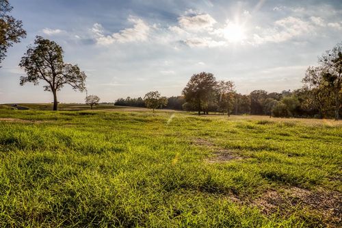 TBD Sunny Meadow Lot 23 Drive, Chappell Hill, TX, 77426 | Card Image