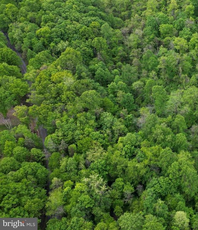 LOT 4 Yost Rd, Home with 0 bedrooms, 0 bathrooms and null parking in New Creek WV | Image 4