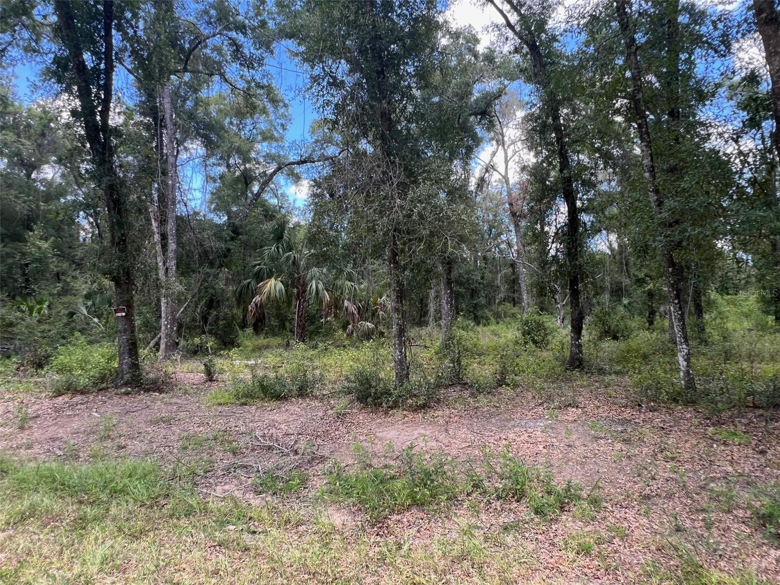 Land in DUNNELLON