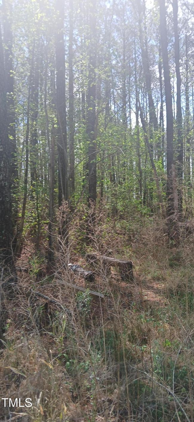 Vancant Lot | Image 7