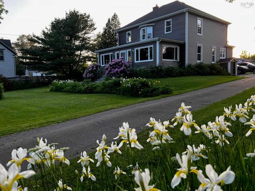 11659 Highway 16, Boylston, NS, B0H1G0 | Card Image