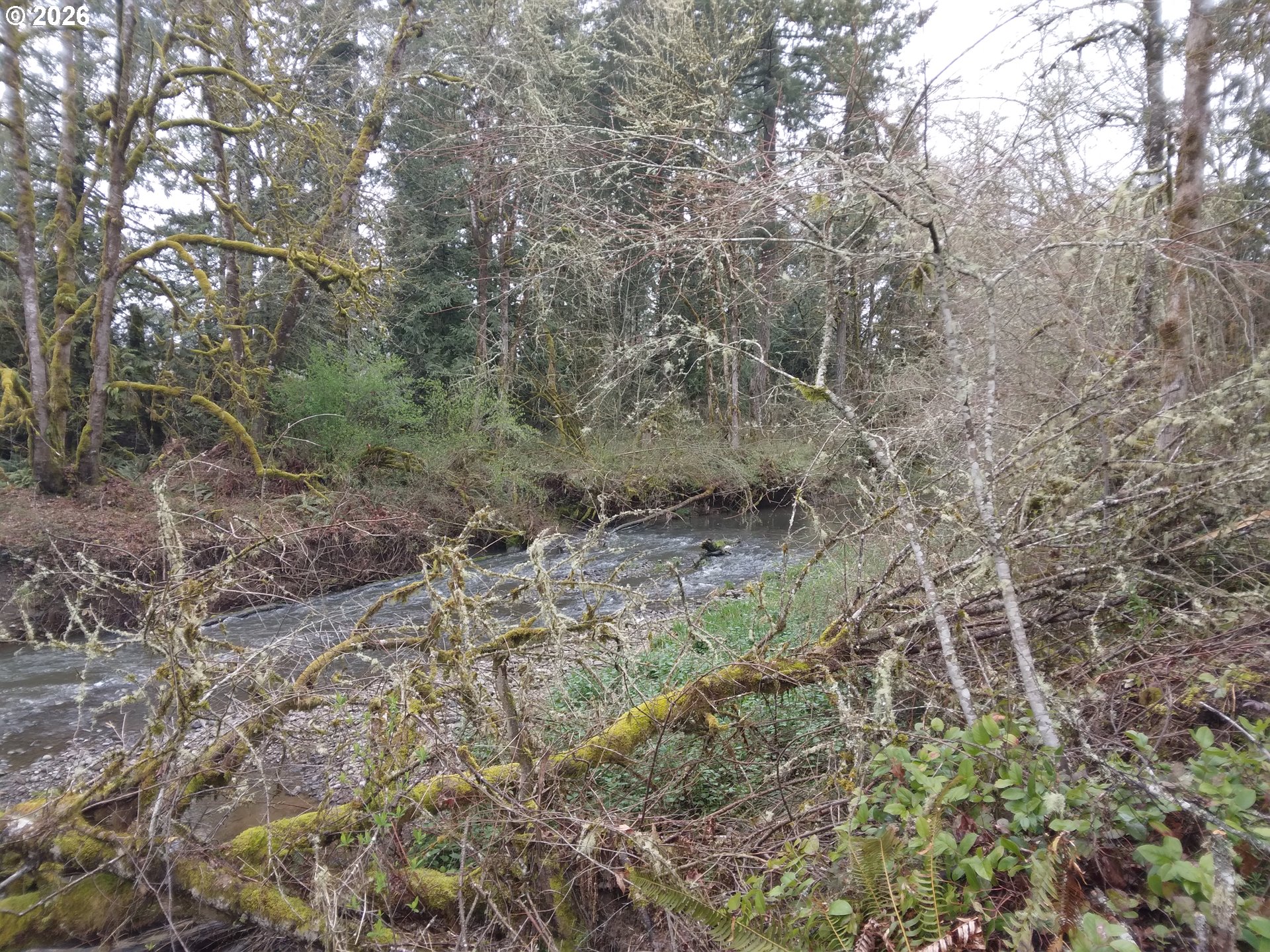 Land in Winlock 2