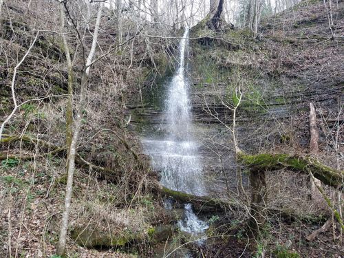 323 Spring Creek Rd, Westpoint, TN, 38486-5230 | Card Image