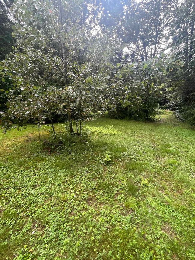 603 Corporation Rd, House other with 2 bedrooms, 0 bathrooms and null parking in Rochester VT | Image 15