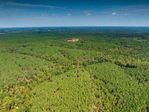 179 Wr Klippel Rd, Hohenwald, TN, 38462 | Card Image