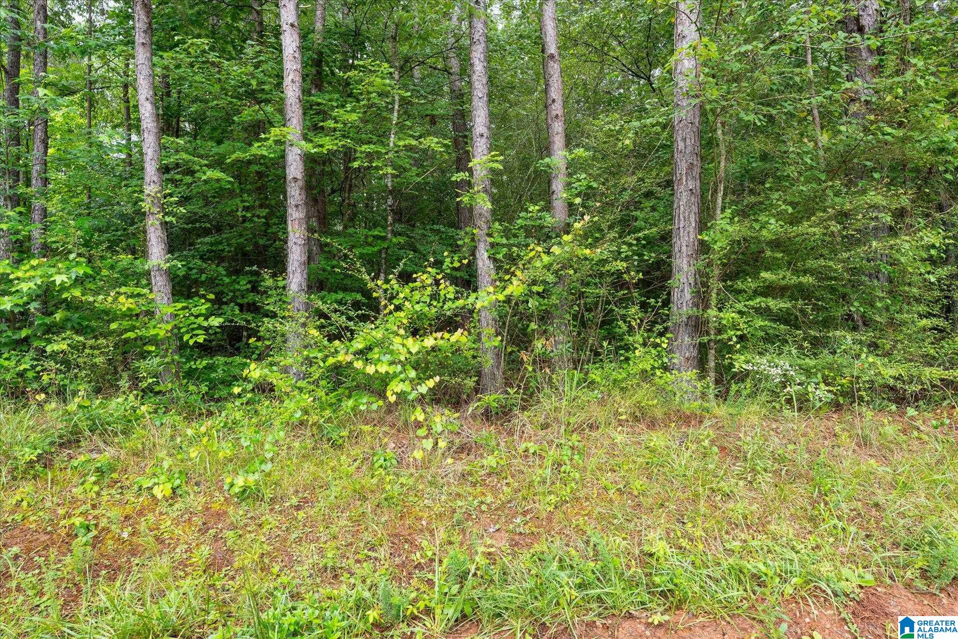 Residential in WOODLAND 3