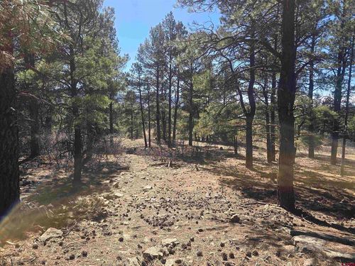 96 Woodridge Cir, Pagosa Springs, CO, 81147-1055 | Card Image