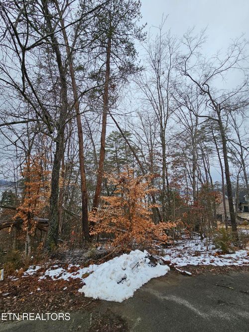 0 Kammann Cv, White Pine, TN, 37890 | Card Image