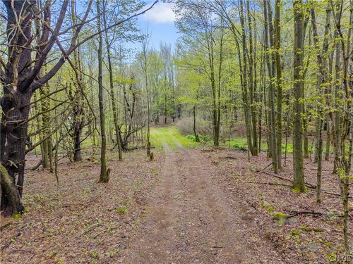 0 Berry Dr, Lorraine, NY, 13659 | Card Image