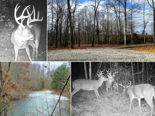 woods-turkey-run-tract-1-0 Dutch Ridge Rd Se, New Lexington, OH, 43764 | Card Image