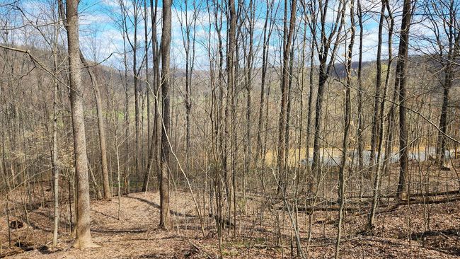 TRACT-2-PIKE-LAKE-GETAWA - 0 Pike Lake Rd, Home with 0 bedrooms, 0 bathrooms and null parking in Bainbridge OH | Image 41