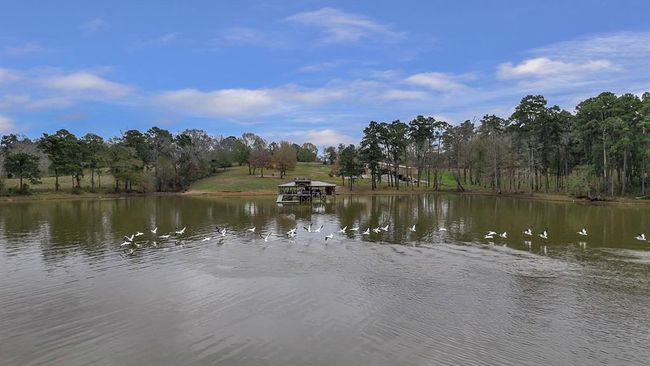 111 Cypress Bay Ldg, House other with 3 bedrooms, 6 bathrooms and 3 parking in Milam TX | Image 41