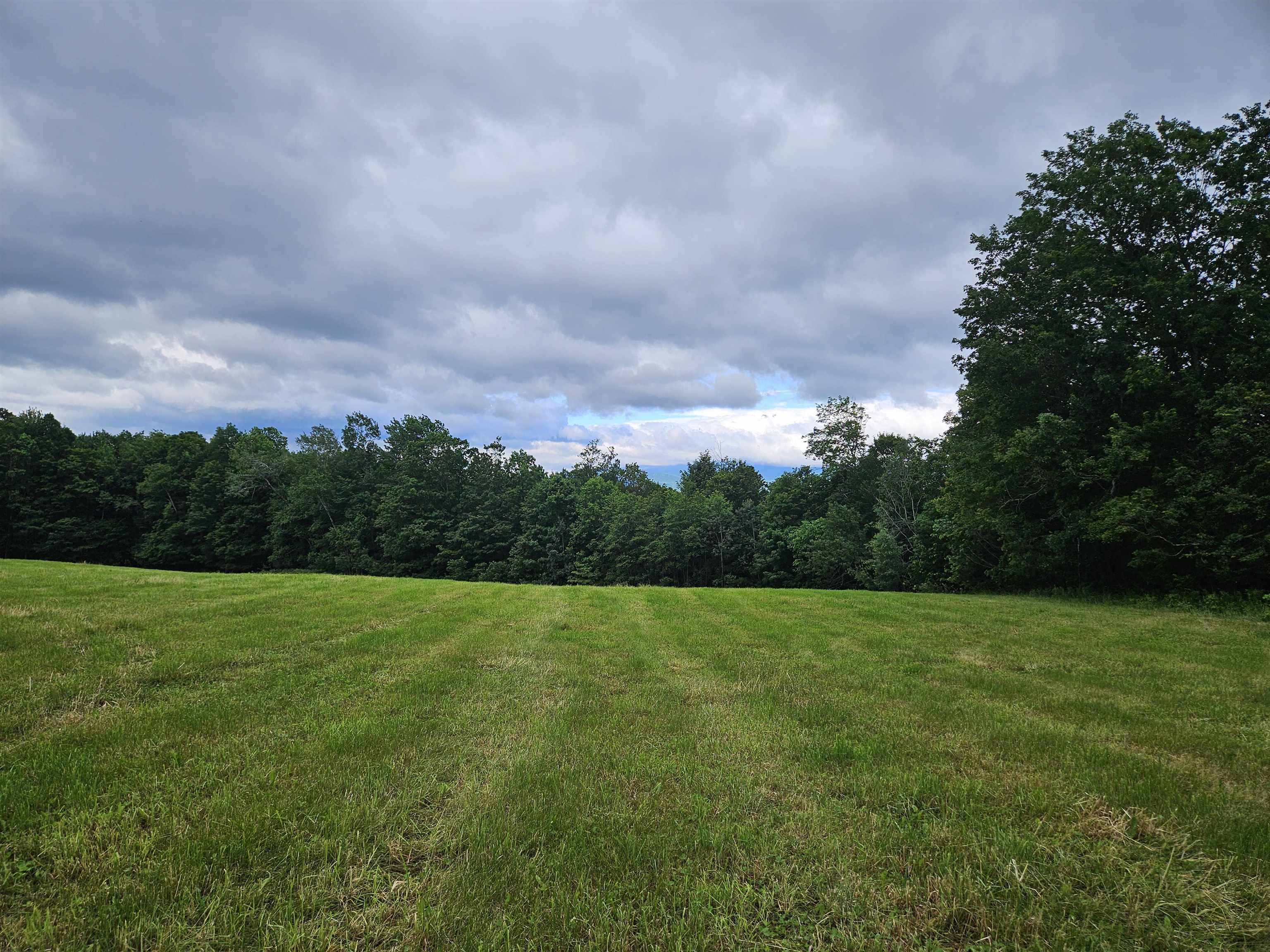 Land in Hyde Park 2