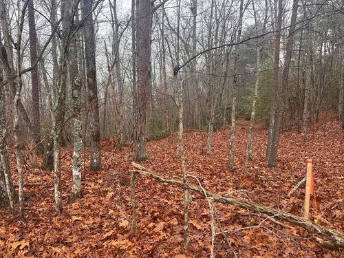 9.7Acres Winchester Creek Rd, Young Harris, GA, 30582 | Card Image