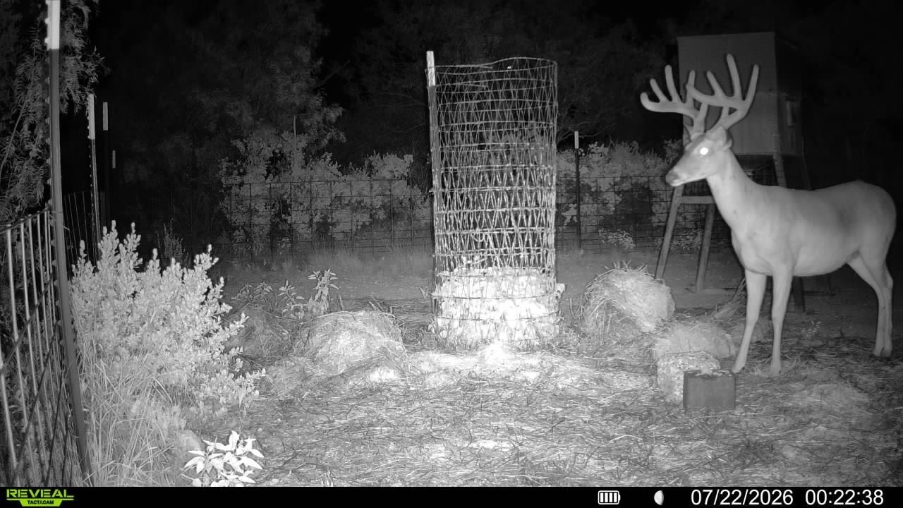 Land in Del Rio 3