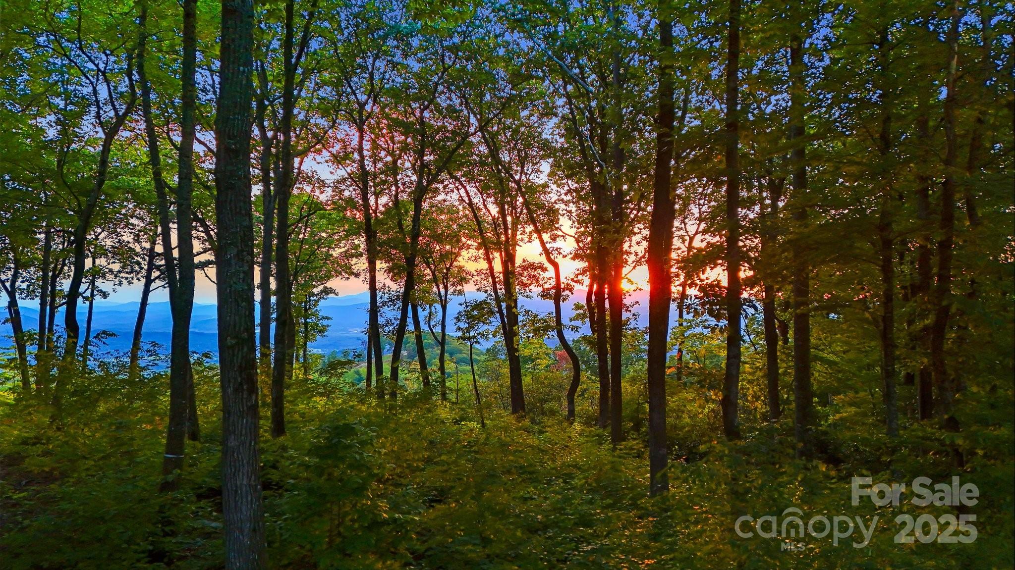 Land in Fletcher 2