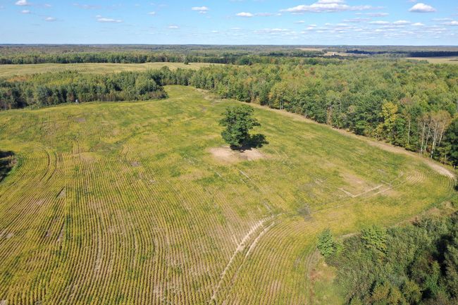 DJI_0453.JPG | Image 5