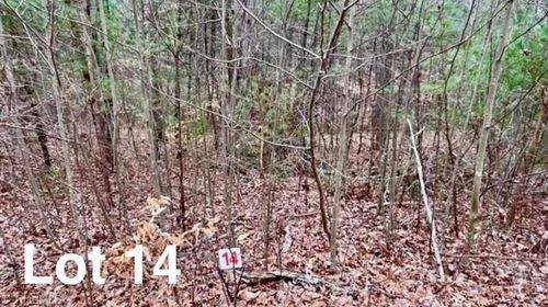 Lot 14 Woods Haven Ln, Stuart, VA, 24171-5434 | Card Image