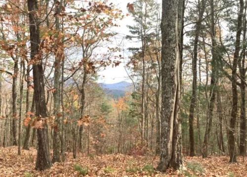 Lot 17 Abbott Mill Road, Ellijay, GA, 30540 | Card Image