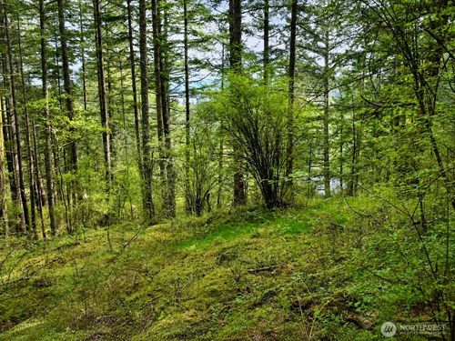 0 XXX Garden Lane, Orcas Island, WA, 98279 | Card Image