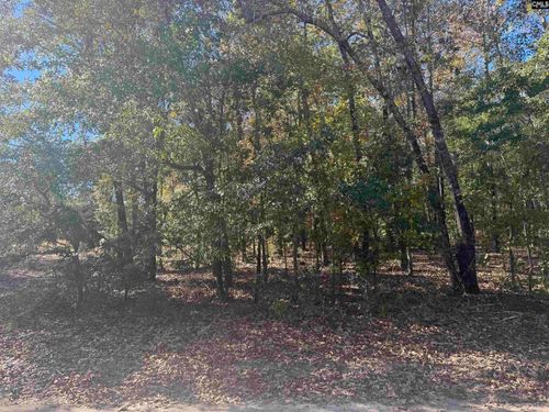 TBD Possum Trail, Bamberg, SC, 29003 | Card Image
