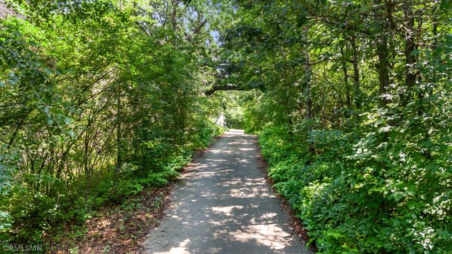 Shaded, tree-lined drive leading to entrance. | Image 94