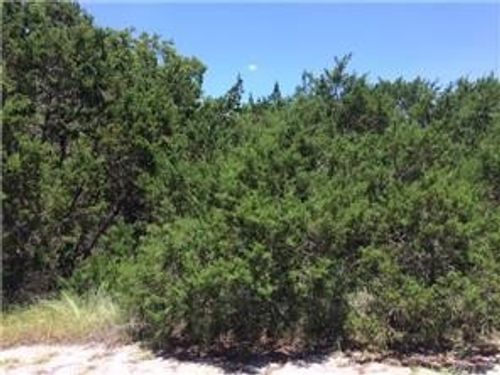 8403 Tawny Cv, Lago Vista, TX, 78645 | Card Image