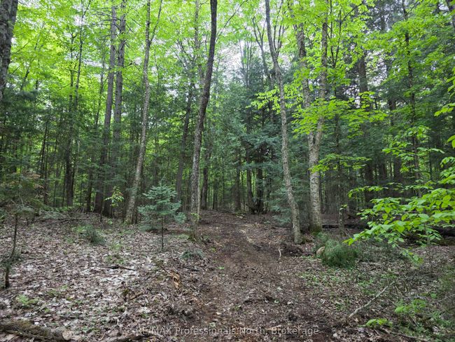 0 25 Th Line Rd, Home with 0 bedrooms, 0 bathrooms and null parking in Algonquin Highlands ON | Image 5