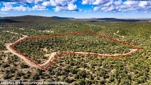 1399 N Thunder Ridge Ranch Road, Seligman, AZ, 86337 | Card Image