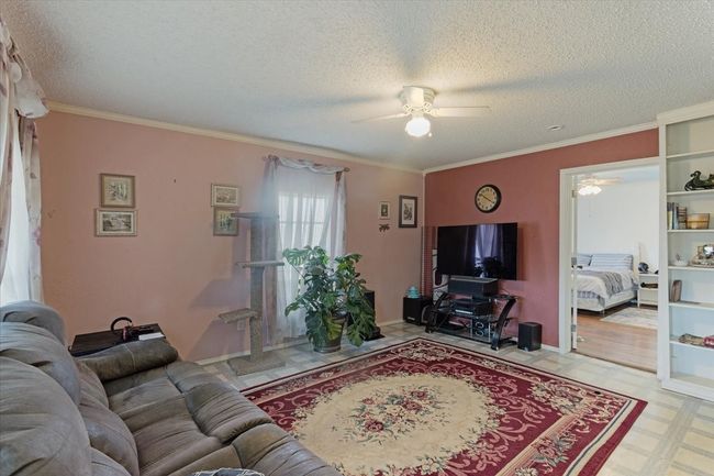 Living room featuring ceiling fan, crown molding, and a textured ceiling | Image 9