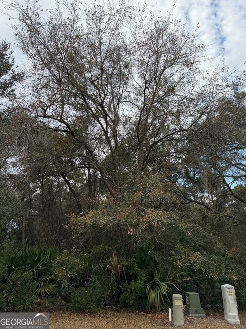 V/L 823 Stern Street, St. Marys, GA, 31558 | Card Image