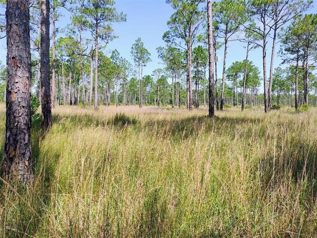 View of landscape | Image 9