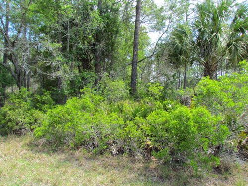TBD Se Highway 19, Inglis, FL, 34449 | Card Image