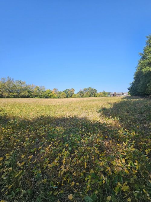 VL Thorne Rd, Horton, MI, 49246 | Card Image
