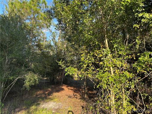 8338 Hardstone Dr, Webster, FL, 33597 | Card Image