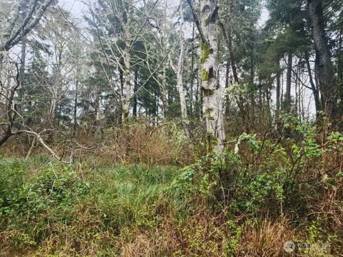 670 Weatherwax Loop Ne, Ocean Shores, WA, 98569 | Card Image