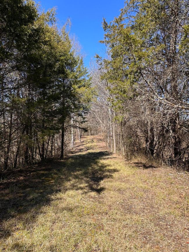 265 - 24265 S Mohawk Rd, Home with 0 bedrooms, 0 bathrooms and null parking in Mohawk TN | Image 41
