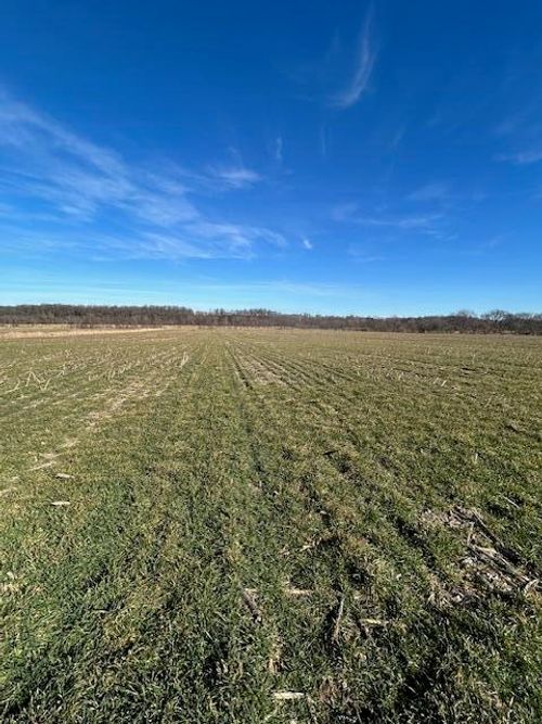 000 Holly Rd, Pierce City, MO, 65723 | Card Image